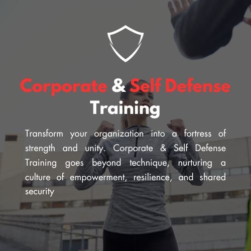 Corporate & Self Defense Training